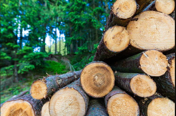 logs